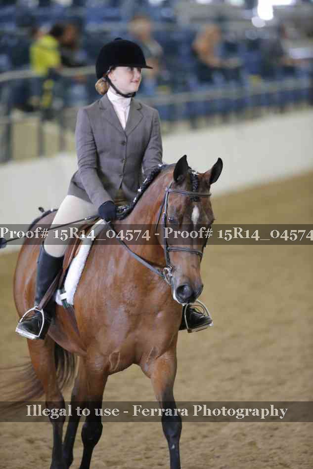Proof Number 15R14_04574