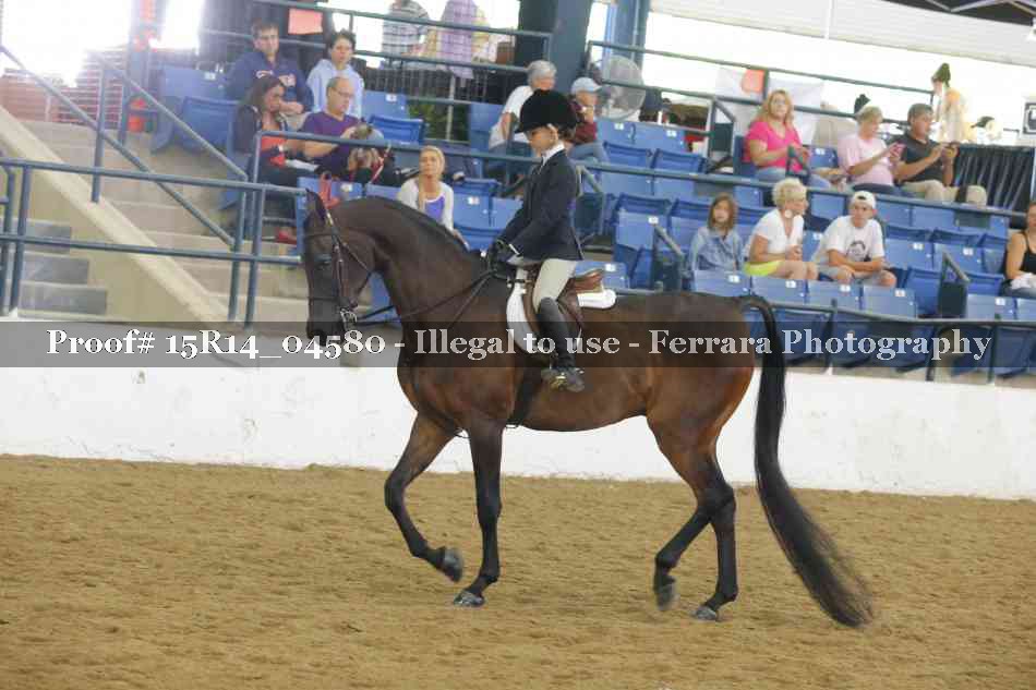 Proof Number 15R14_04580