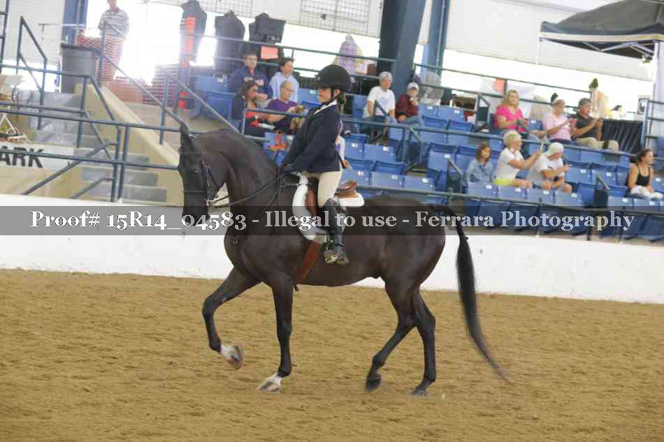 Proof Number 15R14_04583