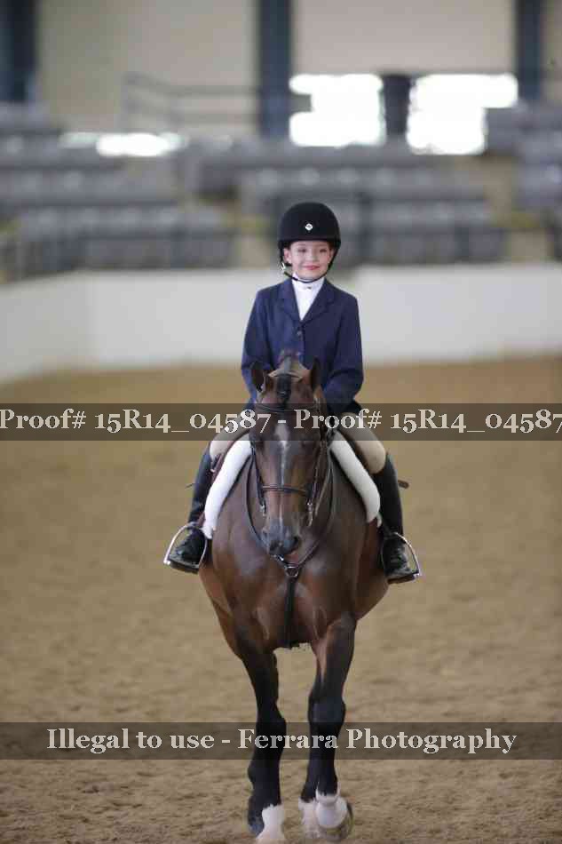 Proof Number 15R14_04587