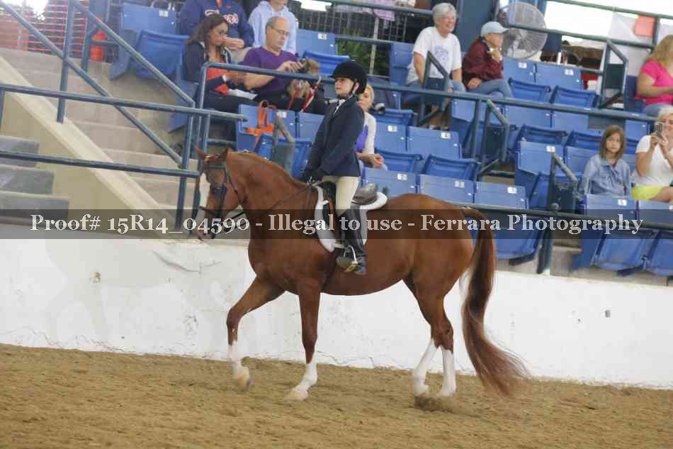 Proof Number 15R14_04590