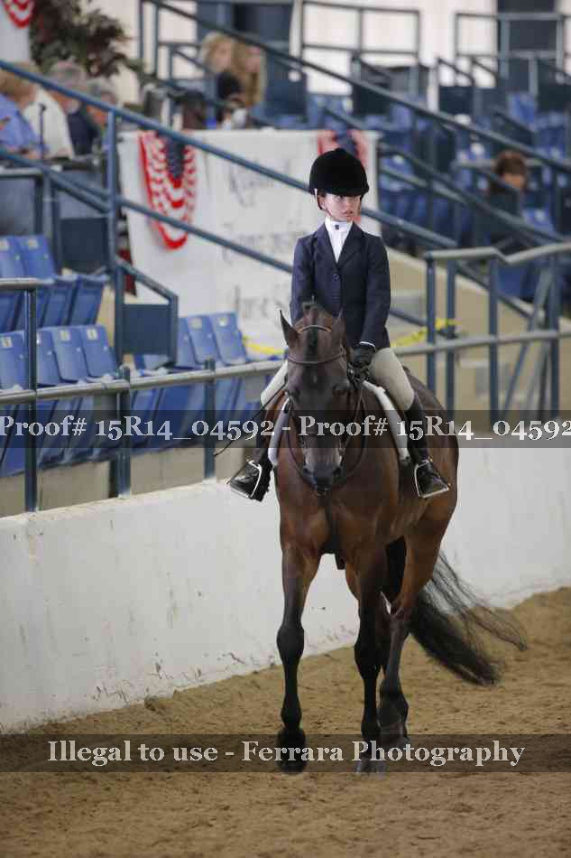 Proof Number 15R14_04592