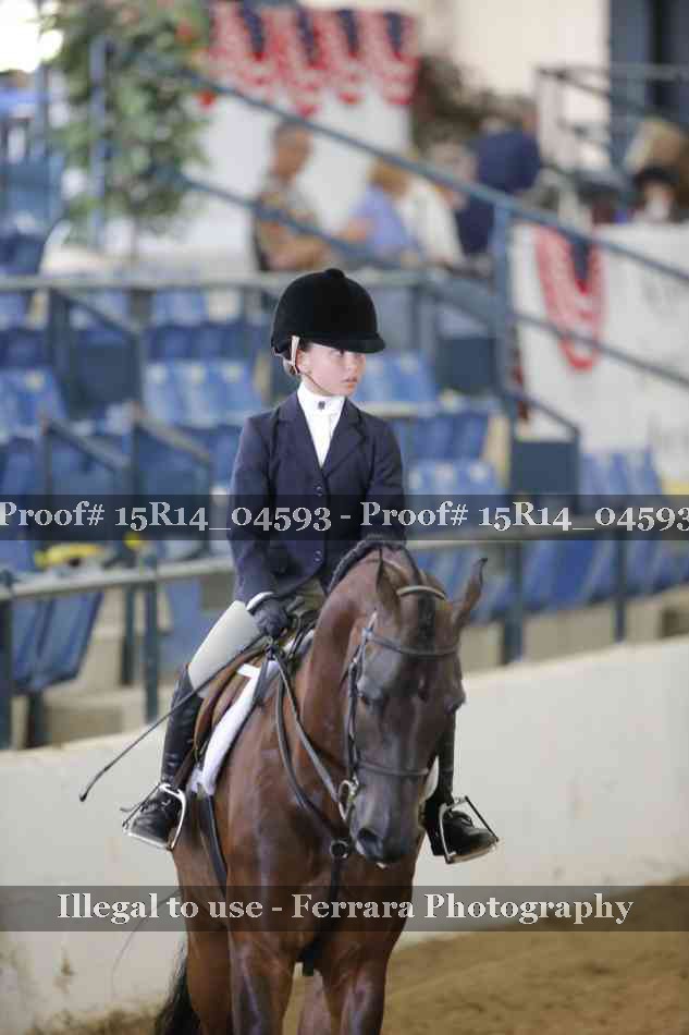 Proof Number 15R14_04593