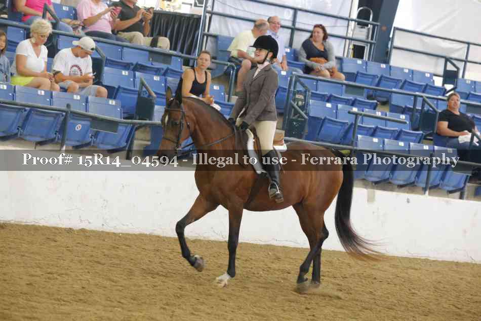 Proof Number 15R14_04594