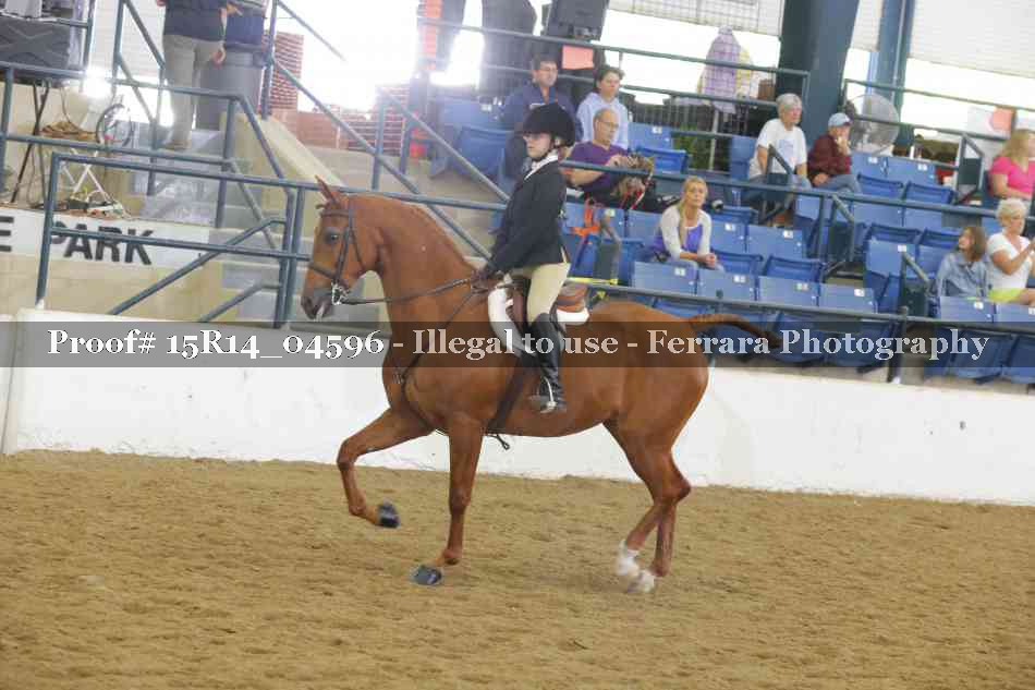 Proof Number 15R14_04596