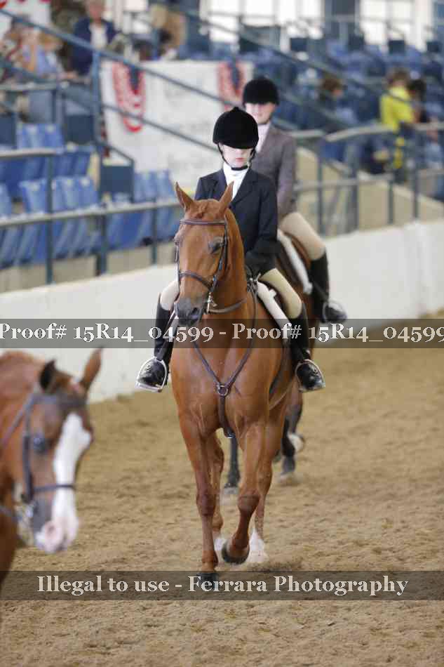 Proof Number 15R14_04599