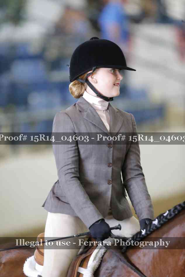 Proof Number 15R14_04603