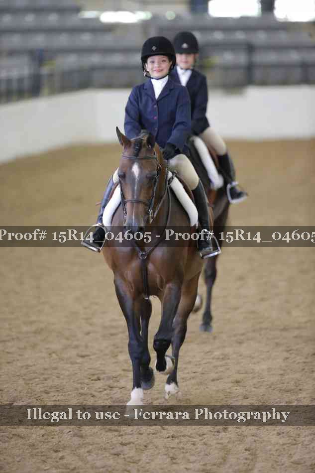 Proof Number 15R14_04605