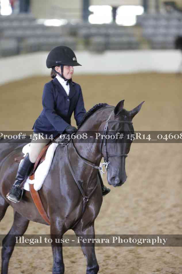 Proof Number 15R14_04608