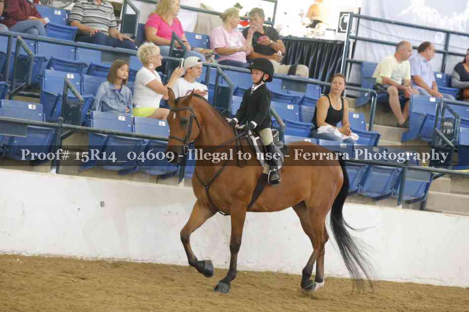 Proof Number 15R14_04609
