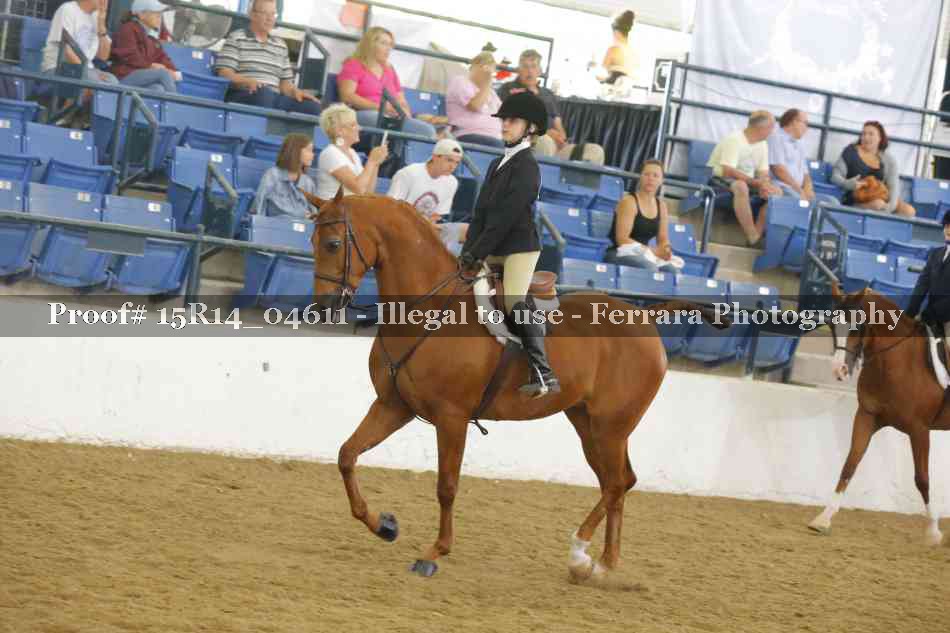 Proof Number 15R14_04611