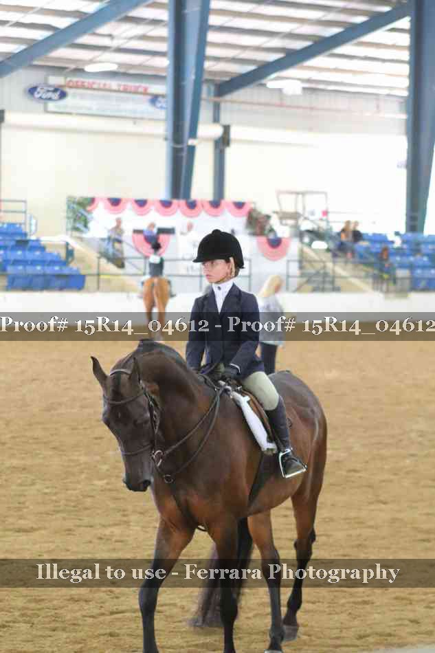 Proof Number 15R14_04612