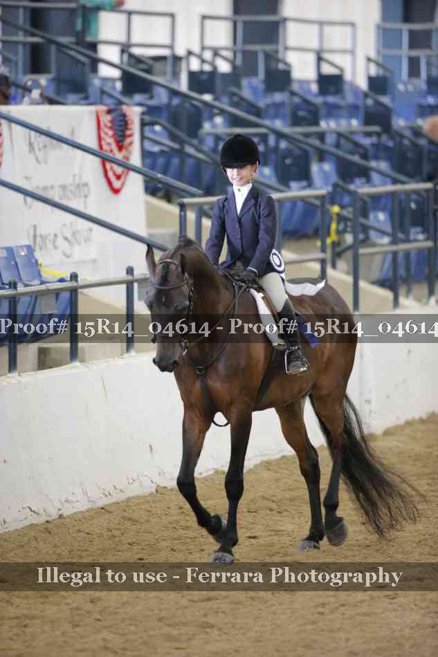 Proof Number 15R14_04614