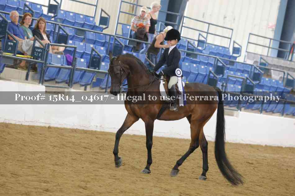 Proof Number 15R14_04617
