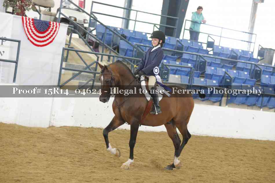 Proof Number 15R14_04624