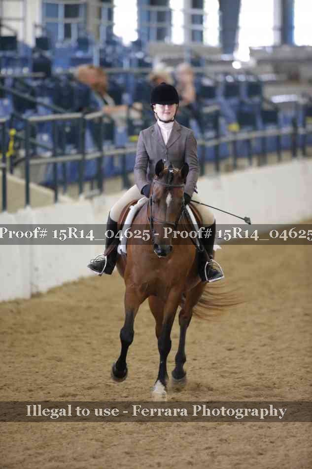 Proof Number 15R14_04625