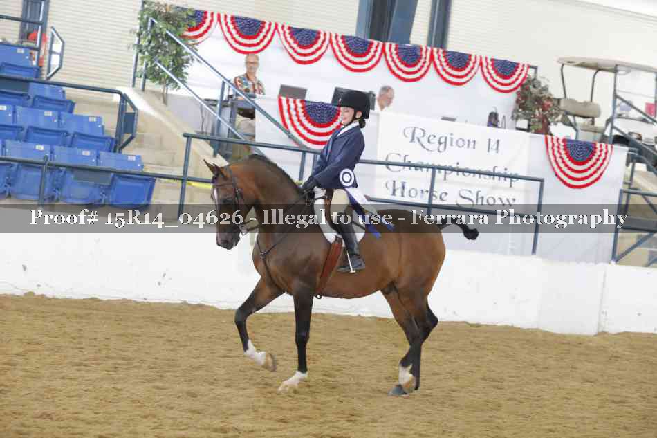 Proof Number 15R14_04626