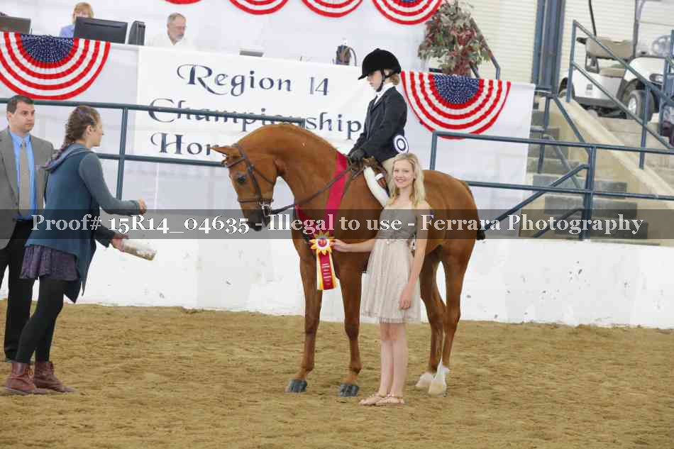 Proof Number 15R14_04635
