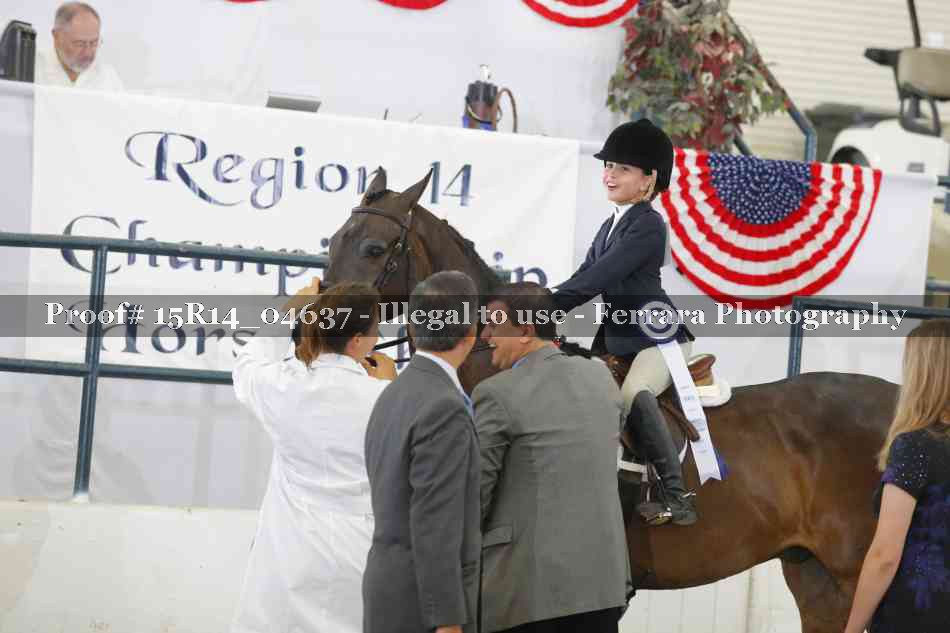 Proof Number 15R14_04637