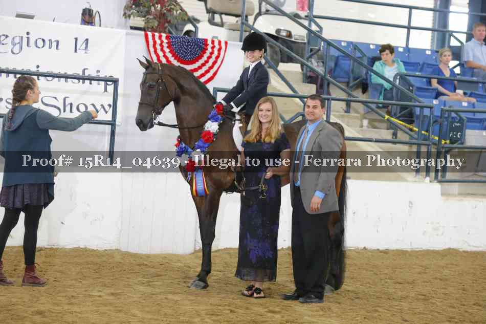 Proof Number 15R14_04639