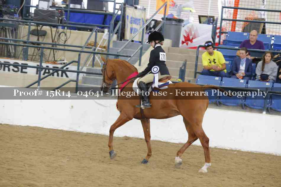 Proof Number 15R14_04641