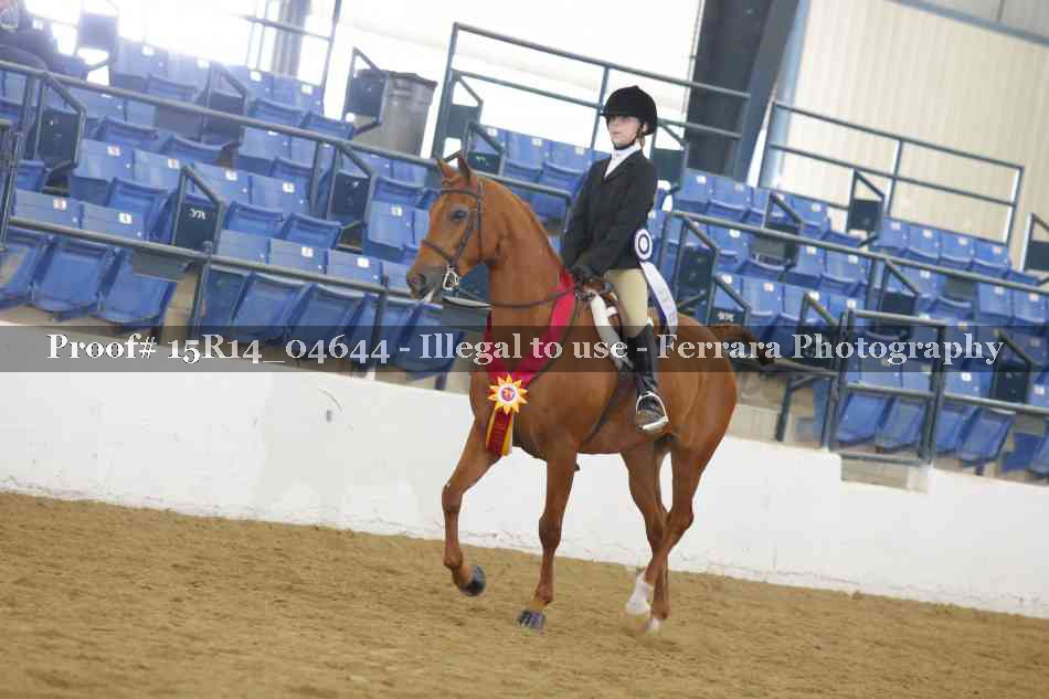 Proof Number 15R14_04644