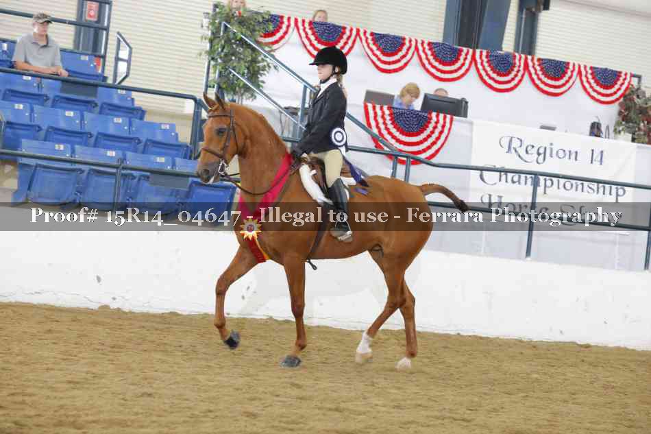 Proof Number 15R14_04647