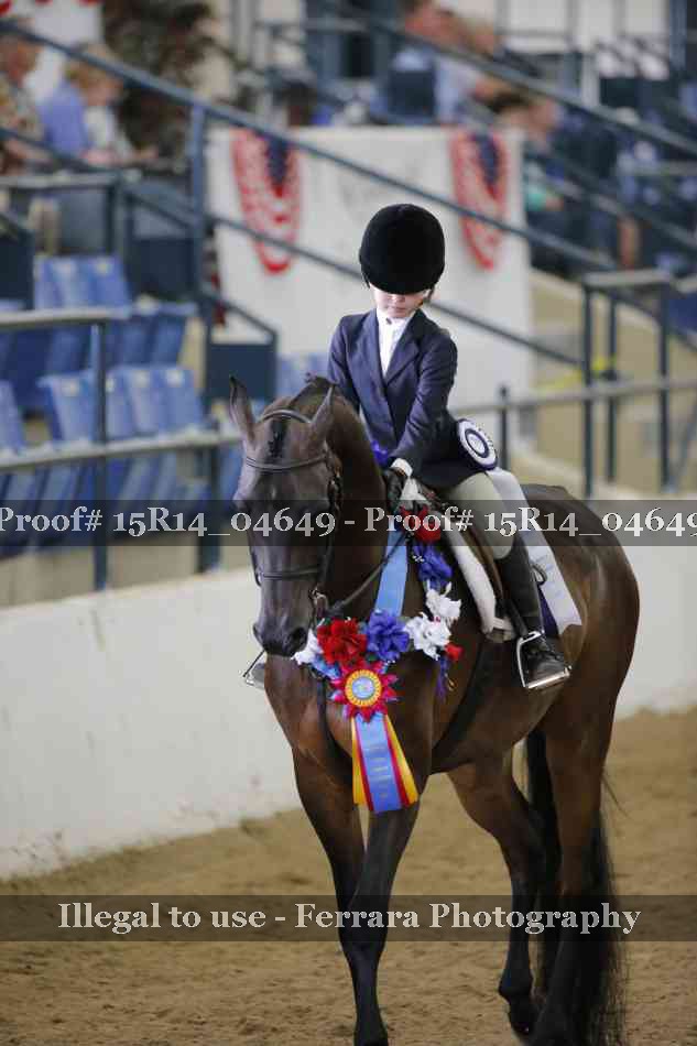 Proof Number 15R14_04649