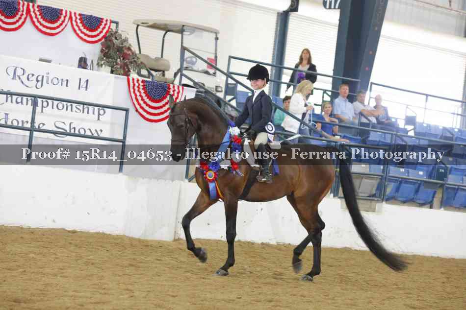 Proof Number 15R14_04653