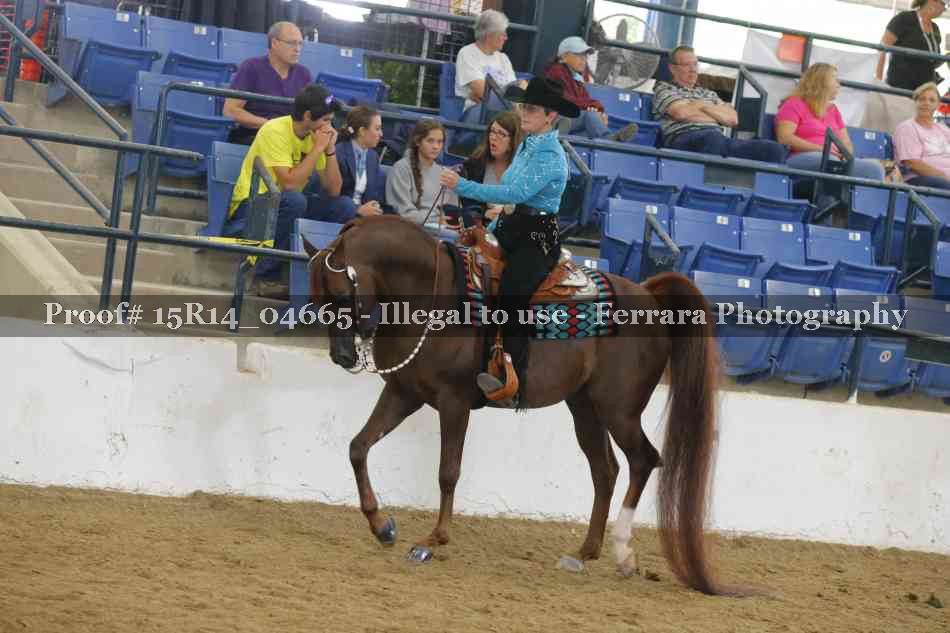 Proof Number 15R14_04665