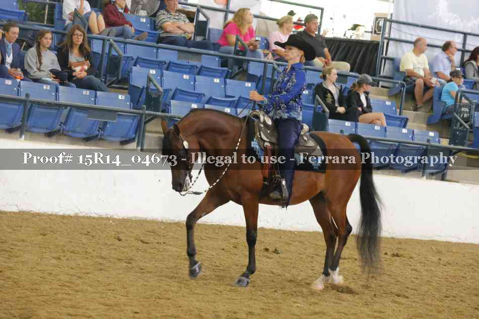 Proof Number 15R14_04673