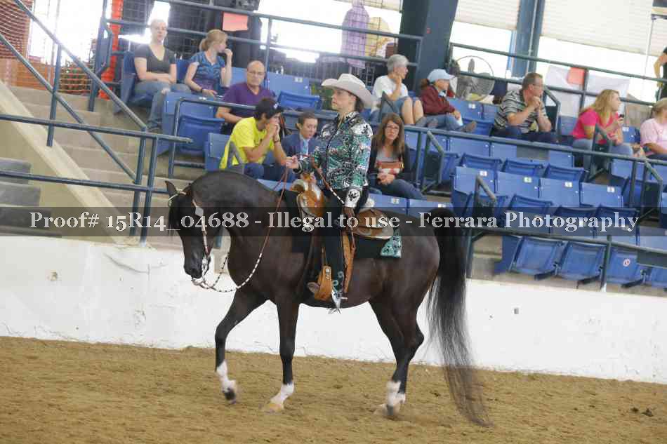 Proof Number 15R14_04688