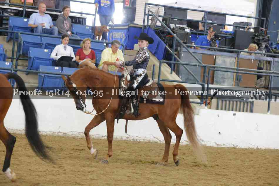 Proof Number 15R14_04695