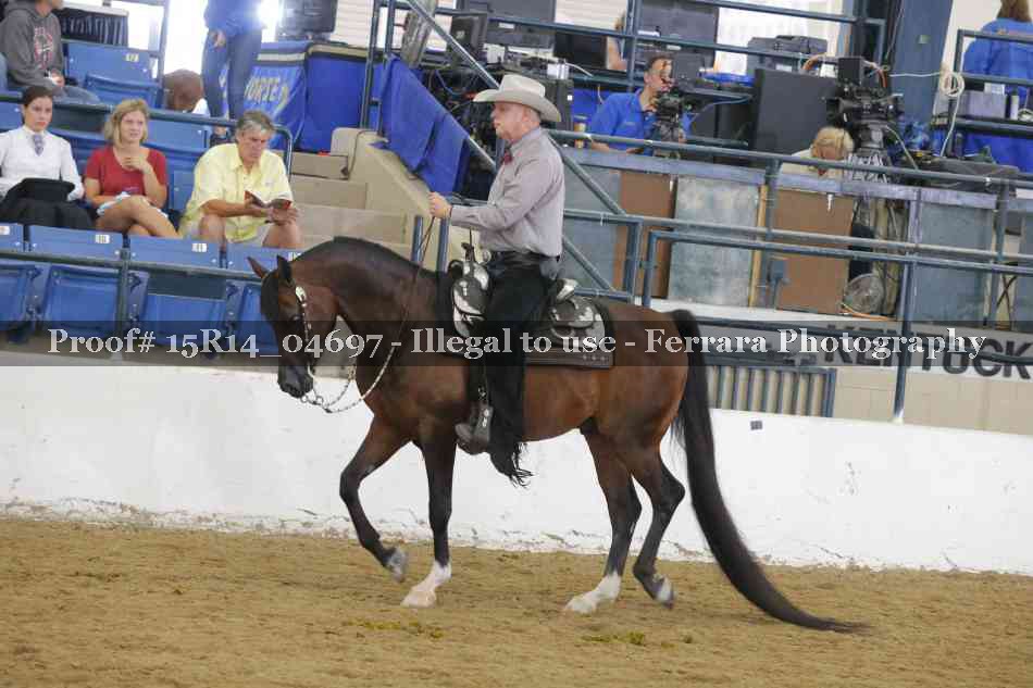 Proof Number 15R14_04697