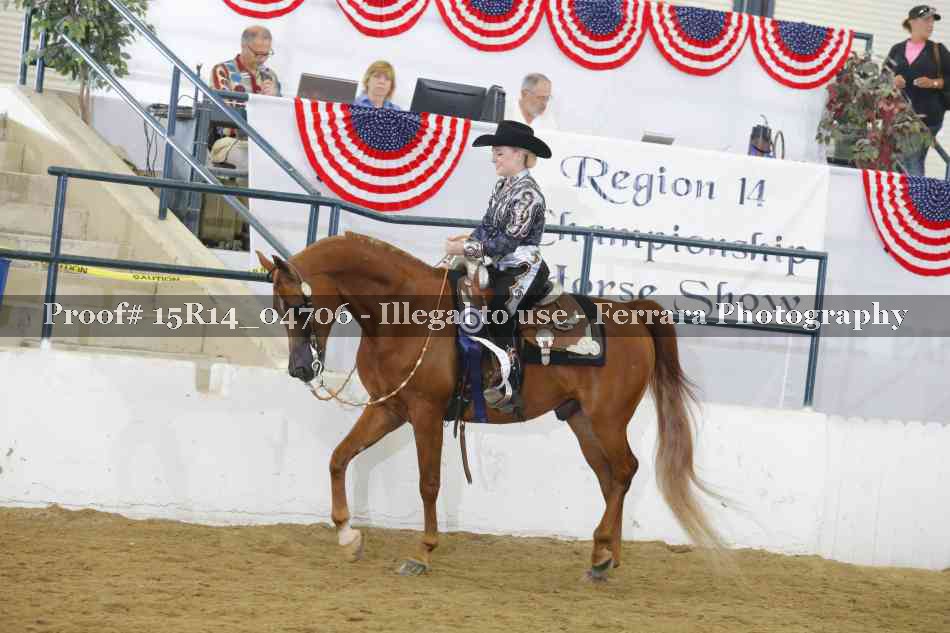 Proof Number 15R14_04706