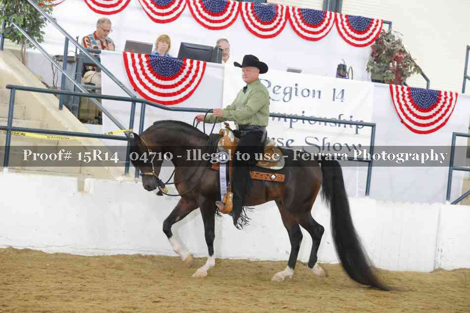 Proof Number 15R14_04710
