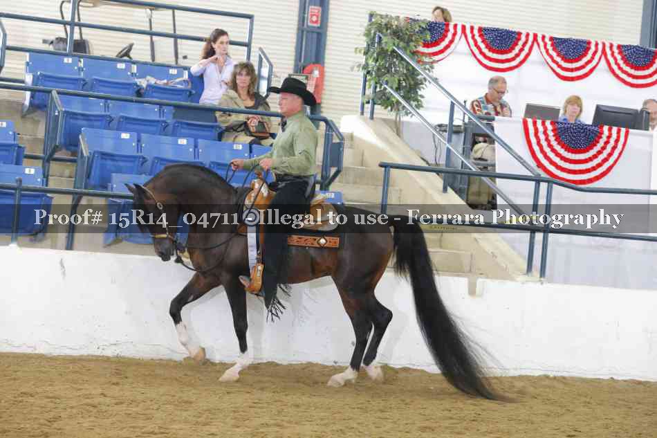 Proof Number 15R14_04711