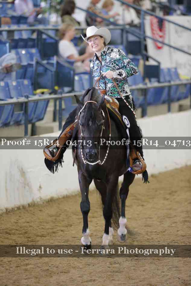 Proof Number 15R14_04713