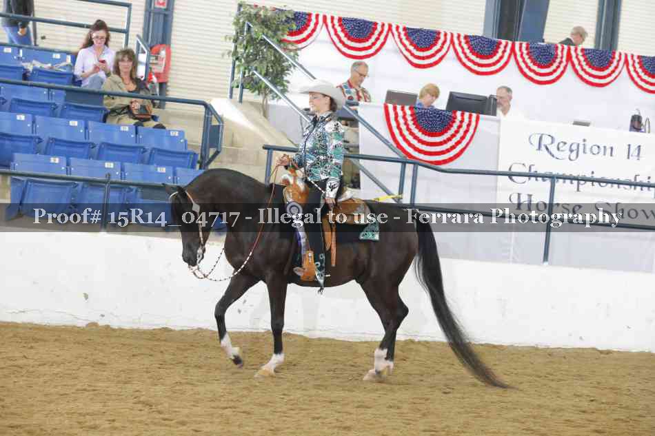Proof Number 15R14_04717
