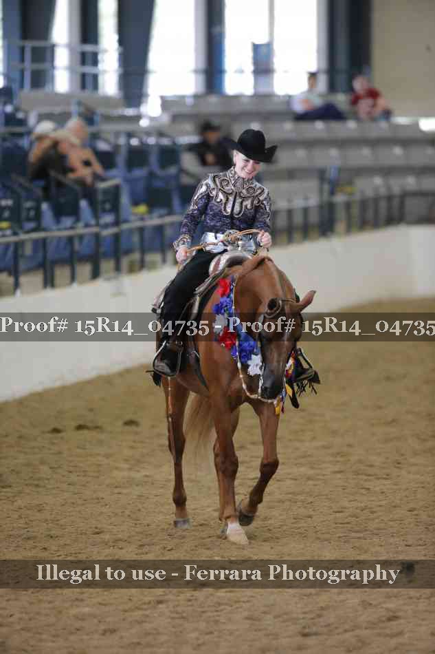 Proof Number 15R14_04735