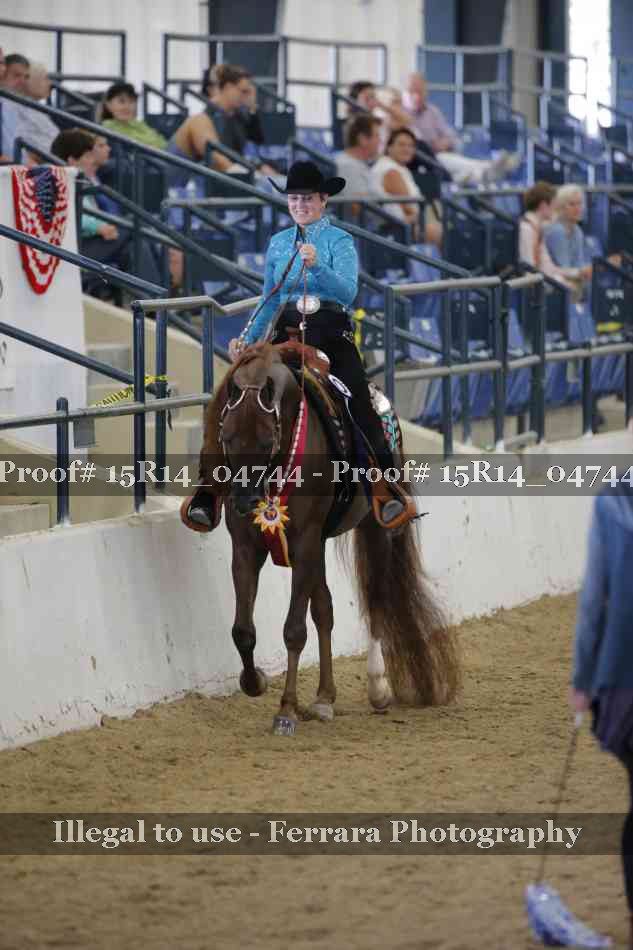 Proof Number 15R14_04744