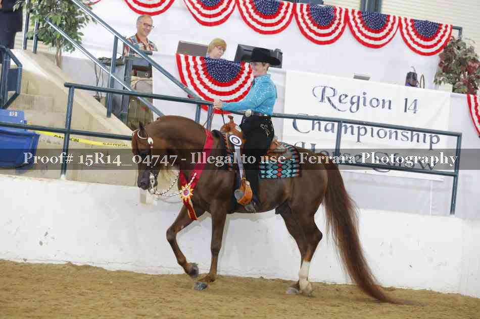 Proof Number 15R14_04747