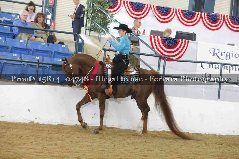 Proof Number 15R14_04748