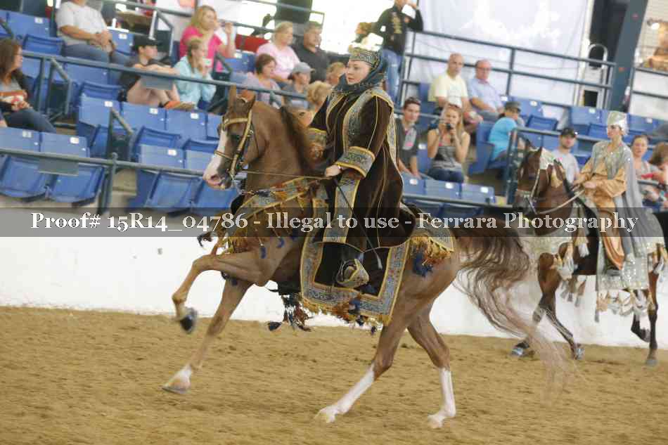 Proof Number 15R14_04786