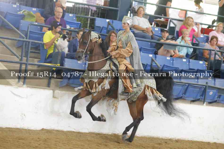 Proof Number 15R14_04787