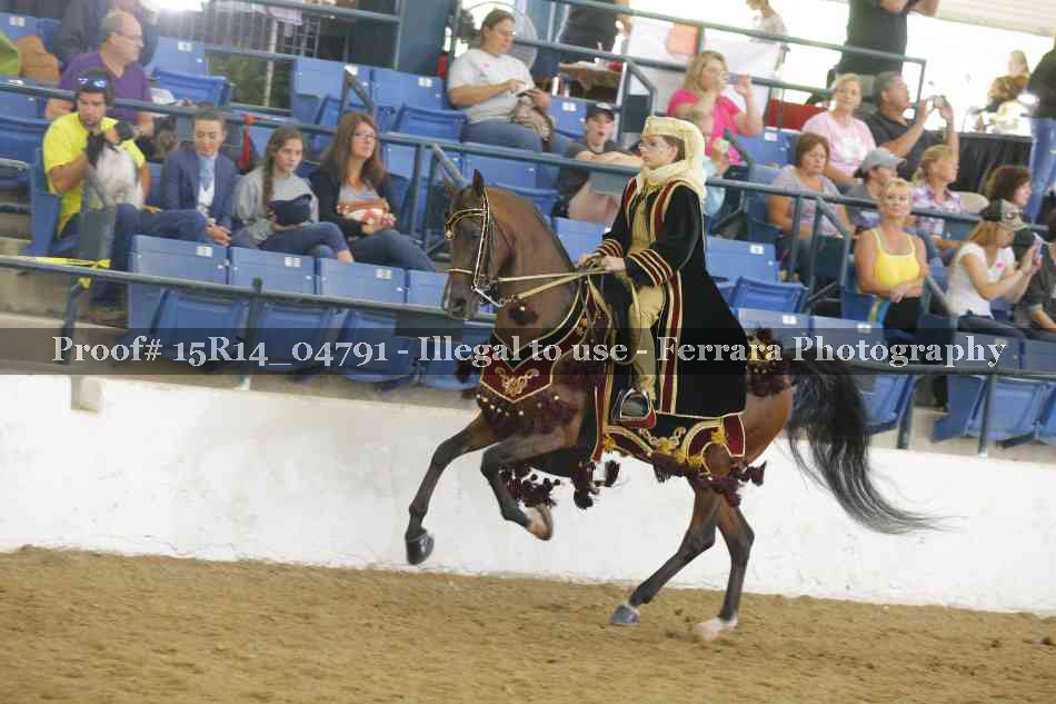 Proof Number 15R14_04791