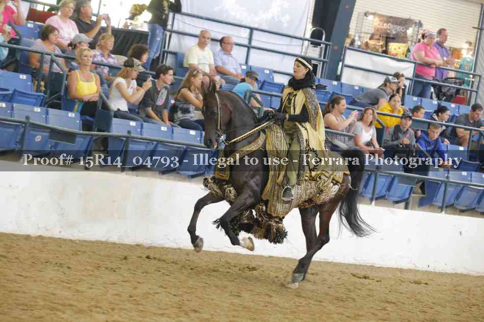 Proof Number 15R14_04793