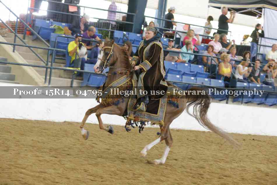 Proof Number 15R14_04795