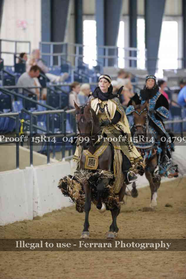 Proof Number 15R14_04799