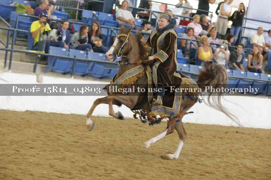 Proof Number 15R14_04803